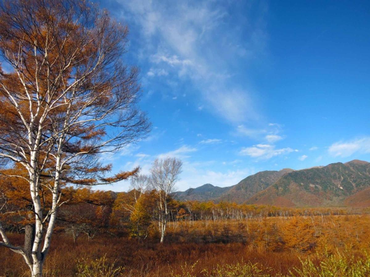 Okunikko Park Lodge Miyama Екстер'єр фото